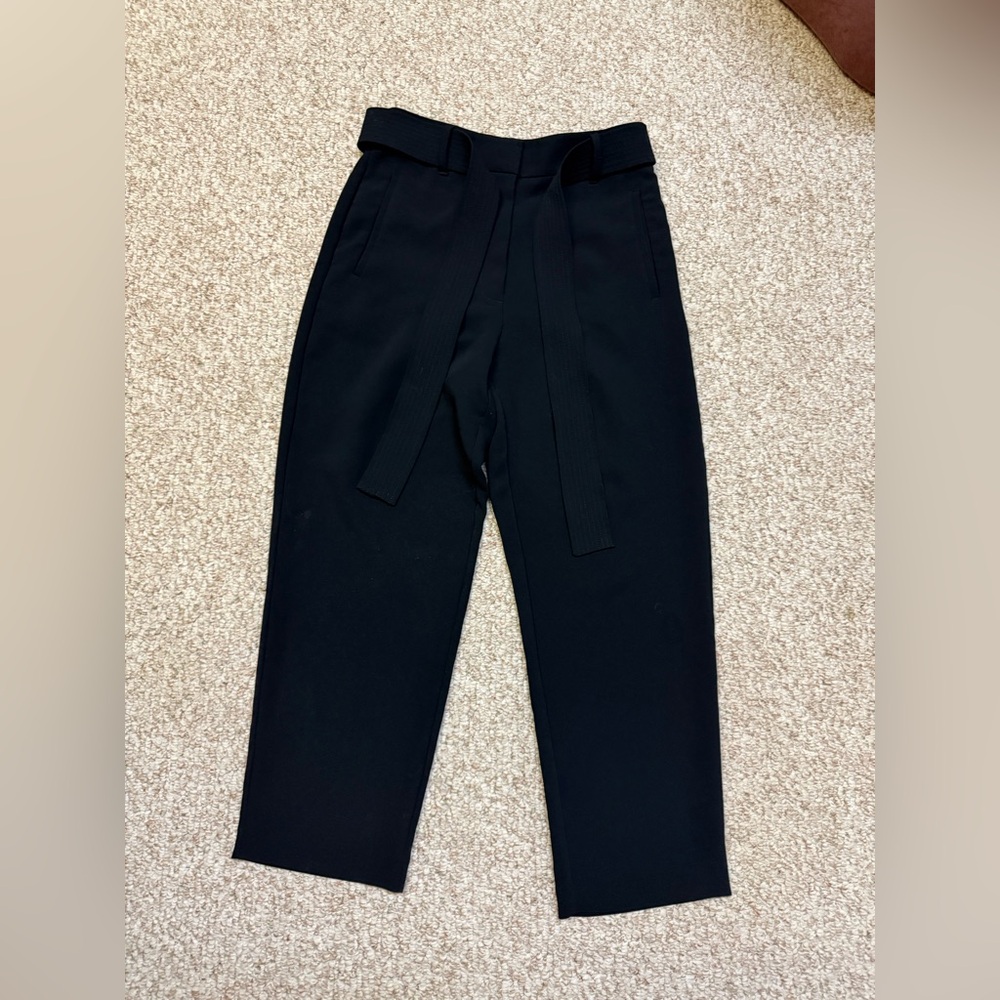 Aritzia Wilfred Pants